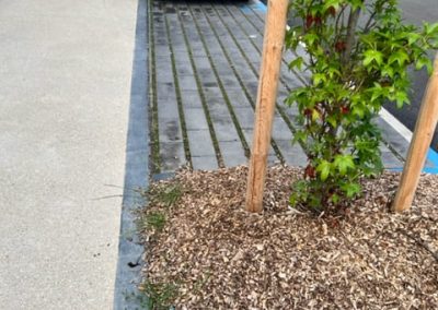 Rue du Village - Lognes 77