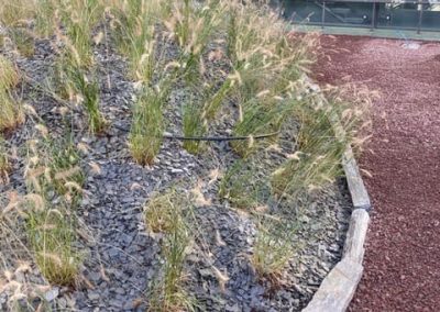 A7-Paris Sorbonne site de Malesherbes